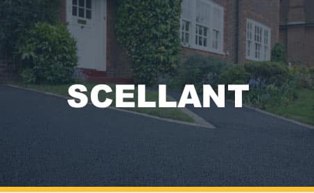 scellant